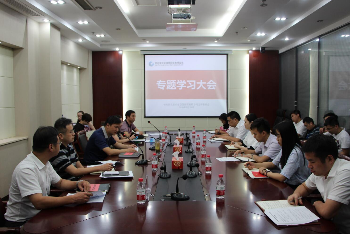 省农担公司召开党支部学习大会