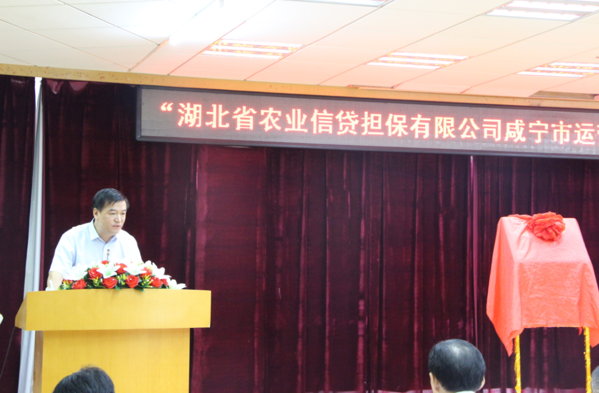 省农担公司咸宁市运营中心正式成立