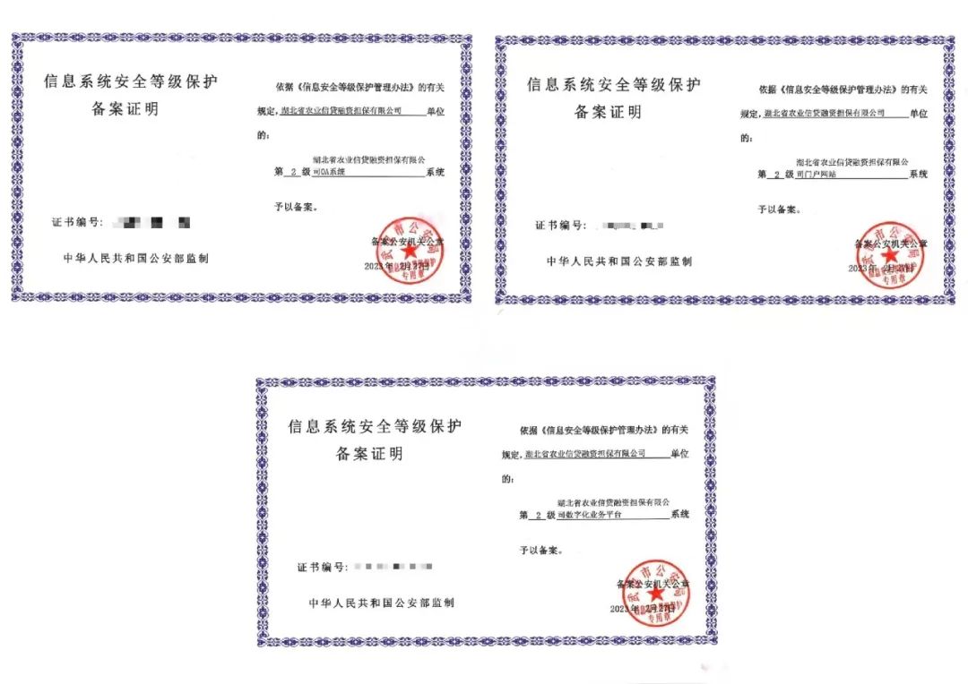 【农担快讯】湖北省农担公司顺利完成网络安全等级保护测评工作