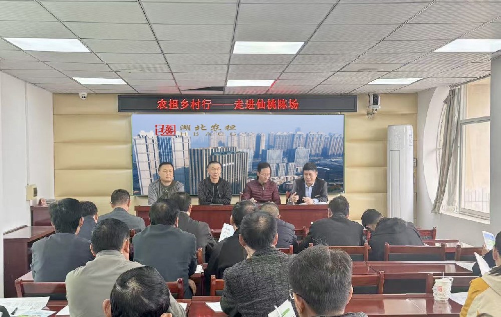 湖北农担“乡村行”走进仙桃陈场镇 赋能乡村振兴