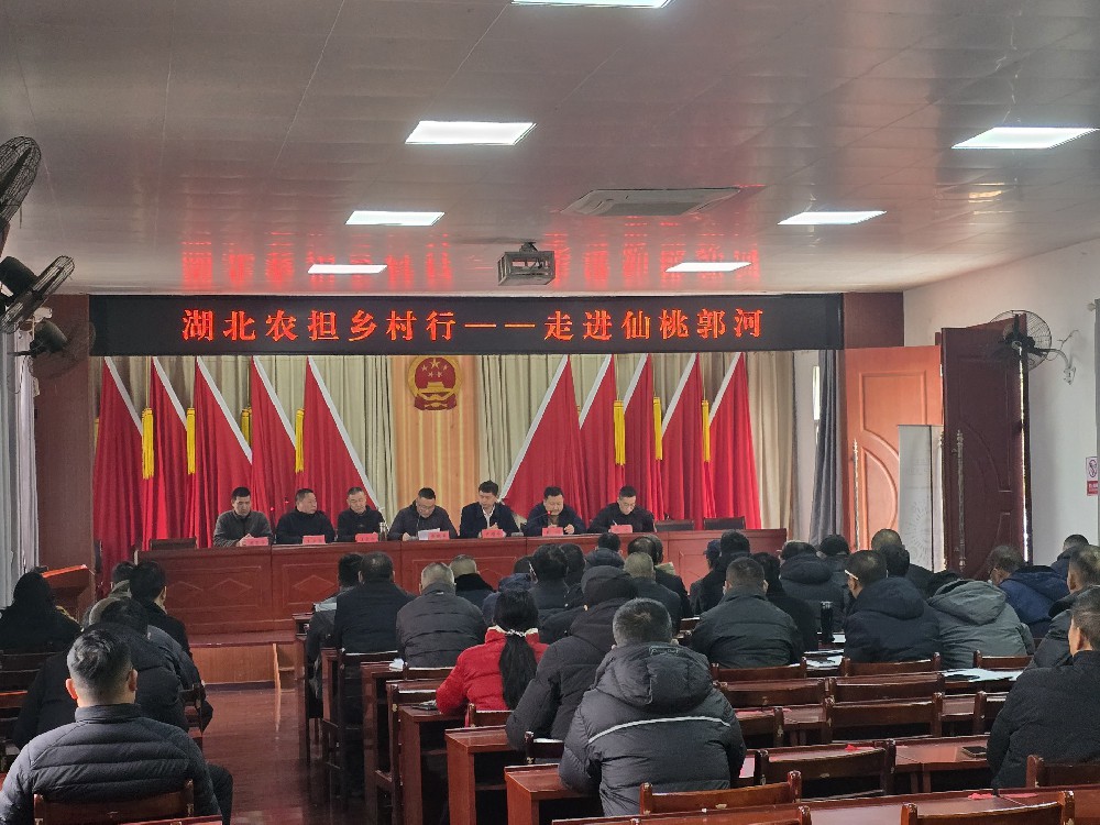 【农担快讯】“湖北农担乡村行”走进仙桃郭河镇 精准服务助农惠农