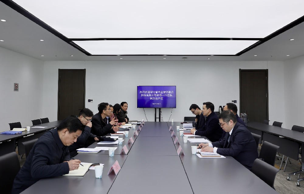 隆刚赴武汉经济技术开发区推进深化政担合作