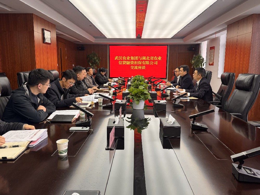隆刚一行赴武汉农业集团座谈交流