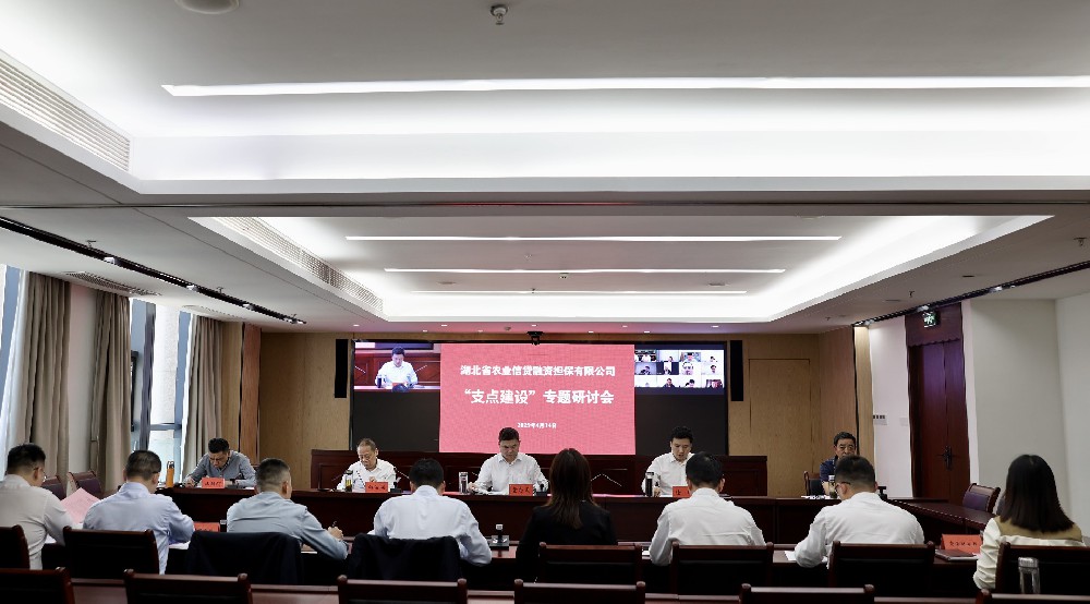 省农担公司召开“支点建设”专题研讨会