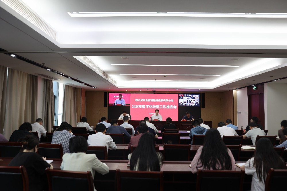 省农担公司召开2025年数字化转型工作推进会