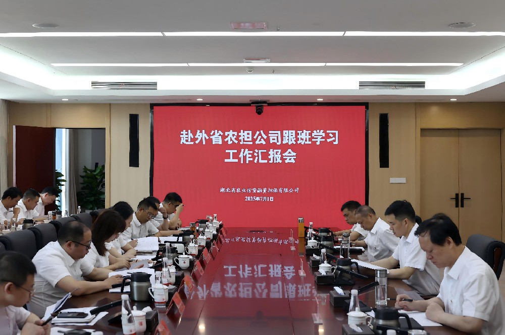 省农担公司召开赴外省农担公司跟班学习工作汇报会