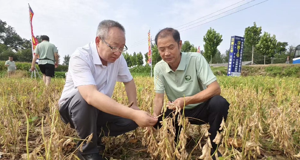 【农担快讯】省农担公司潜江办事处引金融甘霖为大豆产业保驾护航