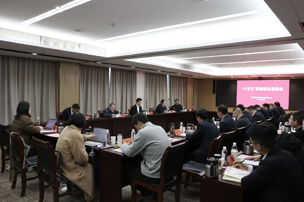 省农担公司召开“十五五”规划建议座谈会