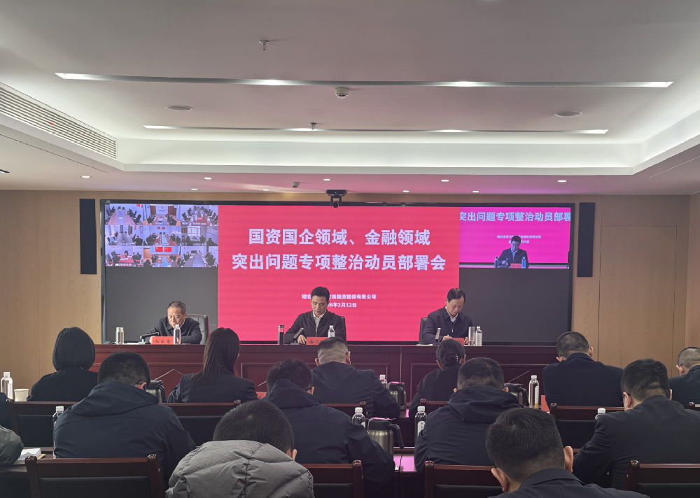 省农担公司召开国资国企领域、金融领域突出问题专项整治动员部署会