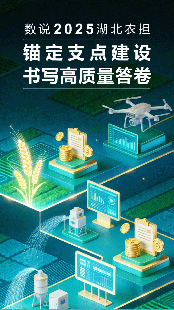 数说2025年湖北农担丨锚定支点建设 书写高质量发展答卷