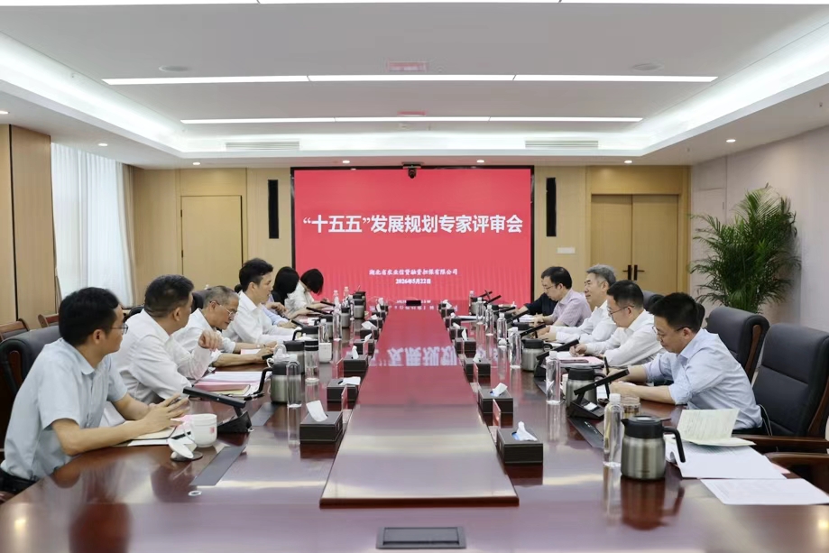 省农担公司召开“十五五”发展规划专家评审会