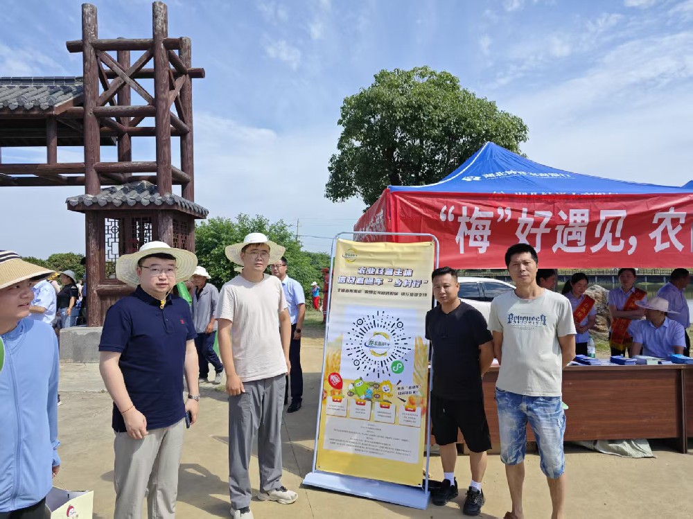 【农担快讯】杨梅红满枝 农担下乡忙——“湖北农担乡村行”走进荆门钟祥市